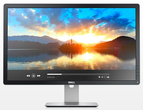 Afrika Royal familie Smidighed Dell P2414H Review | PC Monitors