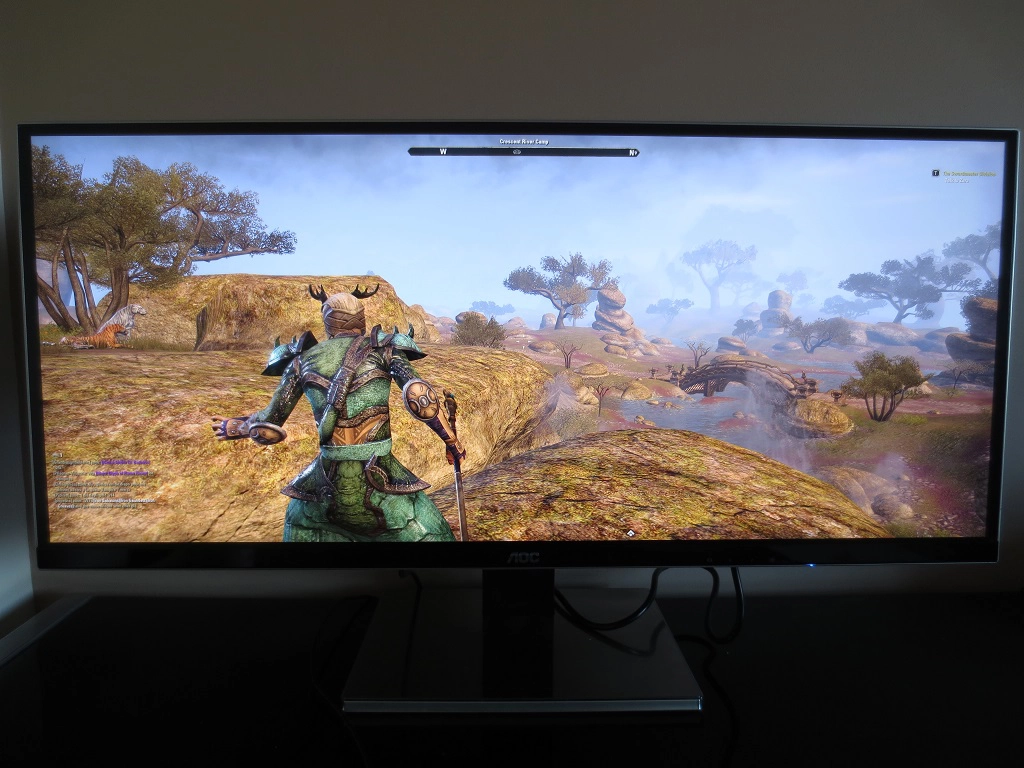 Elder Scrolls Online in the open