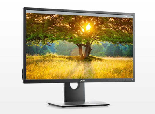 thin Fruity adventure Dell P2417H and P2717H 'P-Series' Full HD models | PCMonitors.info