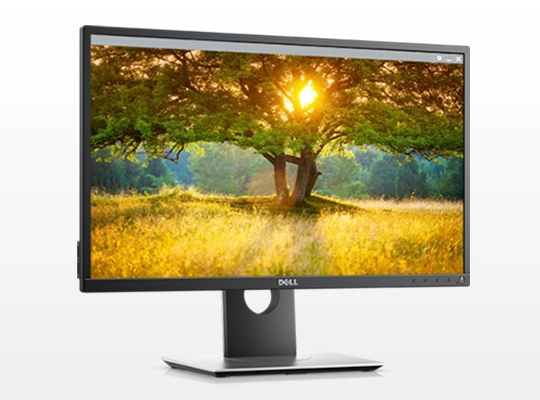 Dell P2417H and P2717H ‘P-Series’ Full HD models